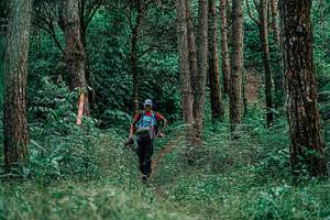 BIB: 
                            <button type="button" onclick="openModal(25236492)" class="btn btn-primary btn-sm float-right btn-popup" data-toggle="modal" data-target=".modal-high-quality">
                        <i class="fas fa-shopping-cart"></i> Add to Cart
                    </button>
                                            <button type="button" onclick="isThisMe(25236492, true)" class="btn btn-success btn-sm float-right btn-popup btn-isme hidden" data-toggle="tooltip" data-placement="bottom" title="นี่คือรูปของคุณใช่ไหม คลิกที่นี่เพื่อเอาเข้าอัลบั้ม">
                        <i class="fas fa-plus"></i> Add to album
                    </button>
                    <button type="button" onclick="isThisMe(25236492, false)" class="btn btn-warning btn-sm float-right btn-popup btn-isnotme hidden">
                        <i class="fas fa-ban"></i> Remove from album
                    </button>